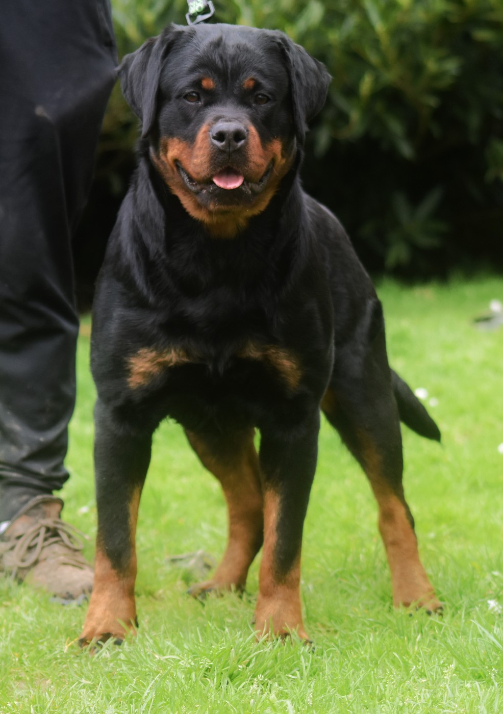 V for vendetta Vom Owane's Paradise